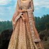 Pretty Brown Colored Lehenga Choli
