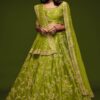 Designer Green Colored Traditional Lehenga choli