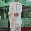 Splendid Off-White Colored Designer Sherwani