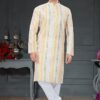 Fashionable Multi-Colored Designer Kurta Set