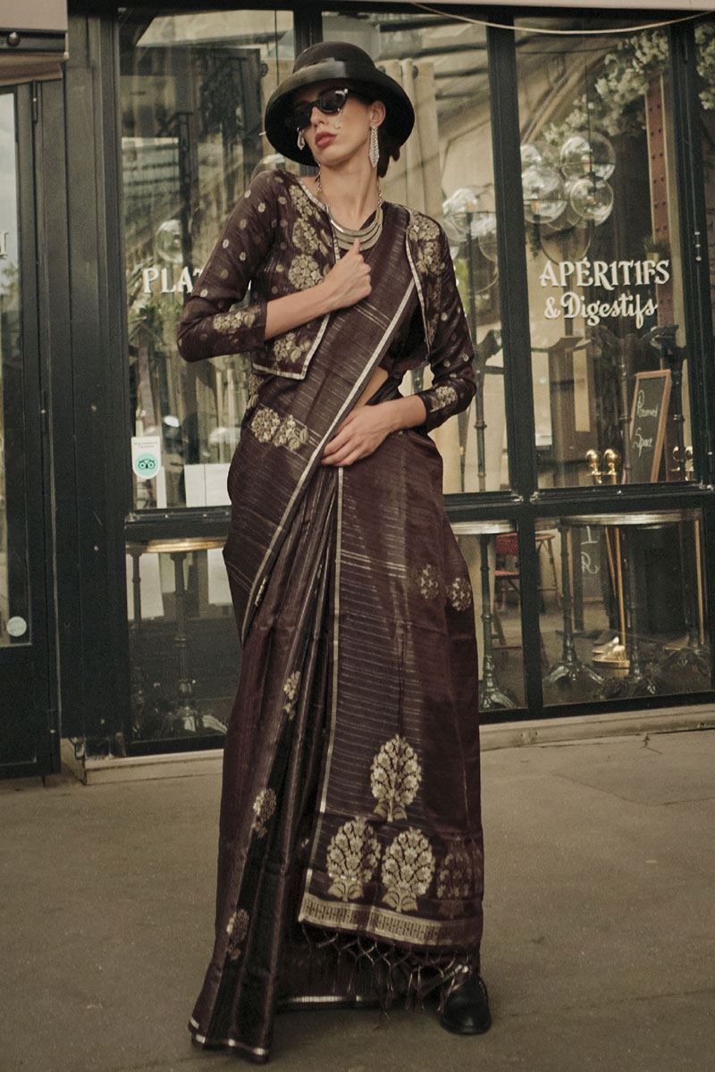 CharismaticBrown Colored Designer Saree
