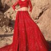 Royal Red Colored Designer Lehenga Choli
