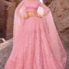 Spectacular Pink Colored Designer Lehenga Choli