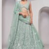 Stunning Mint Green Designer Indo-Western Lehenga Choli for Engagement and Reception