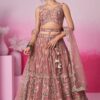 Splendid Rose Gold Designer Indo-Western Lehenga Choli for Reception and Engagement