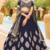 Exuberant Navy Blue Designer Wedding Lehenga Choli for Wedding and Sangeet