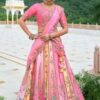 Lovely Pink Designer Lehenga Choli with Colorful Kali for Wedding and Haldi