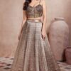 Astounding Brown Designer Indo-Western Lehenga Choli for Party and Sangeet