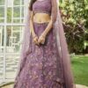 Astounding Net Designer Indo-Western Lehenga Choli for Engagement and Reception