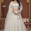 Fascinating Net Designer Lehenga Choli for Party, Sangeet, and Reception