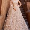 Aesthetic Nude Designer Indo-Western Lehenga Choli for Engagement, Sangeet, and Reception