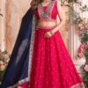 Outstanding Rani Designer Indo-Western Lehenga Choli for Engagement, Wedding, Reception, Sangeet, and Parties