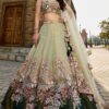 Fascinating Pastel Green Designer Indo-Western Lehenga Choli for Engagement, Wedding, Reception, Sangeet, and Parties