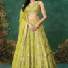 Outstanding Green Designer Indo-Western Lehenga Choli for Mehendi, Engagement, Reception, Sangeet, and Parties