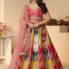 Appealing Designer Indo-Western Lehenga Choli for Wedding, Reception, and Pre-Wedding Shoot