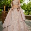 Pretty Golden Tissue Designer Indo-Western Lehenga Choli for Engagement, Sangeet, and Reception