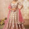 Fascinating Designer Bridal Lehenga Choli for Engagement, Reception, and Pre-Wedding Shoot