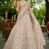 Outstanding Nude Designer Indo-Western Lehenga Choli for Engagement, Reception, and Sangeet