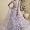 Lovely Net Designer Bridal Lehenga Choli for Engagement and Reception