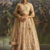 Impressive Soft Net Designer Wedding Lehenga Choli for Wedding and Reception