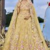 Lovely Organza Designer Indo-Western Lehenga Choli for Haldi, Engagement, and Reception
