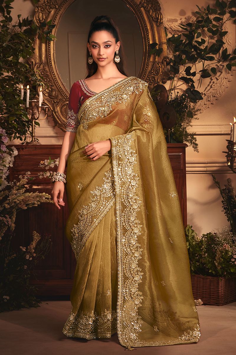 Gorgeous Tissue Organza Silk Designer Saree for Engagement, Wedding, and Reception