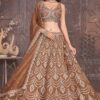 Amazing Silk Designer Indo-Western Lehenga Choli for Wedding and Reception