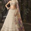 Exuberant Organza Designer Indo-Western Lehenga Choli for Engagement and Reception