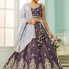 Charismatic Tissue Designer Indo-Western Lehenga Choli for Engagement and Reception