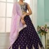 Divine Organza Designer Indo-Western Lehenga Choli for Wedding and Reception